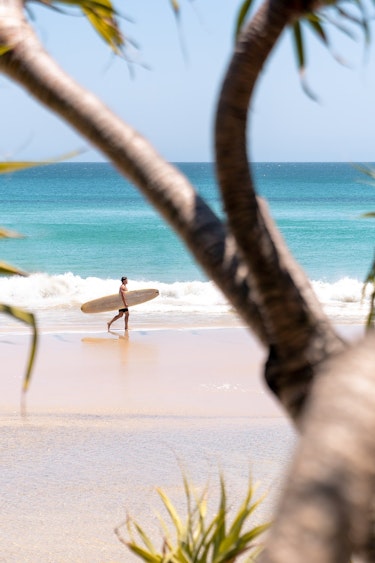 Australien Queensland Strand Surfer
