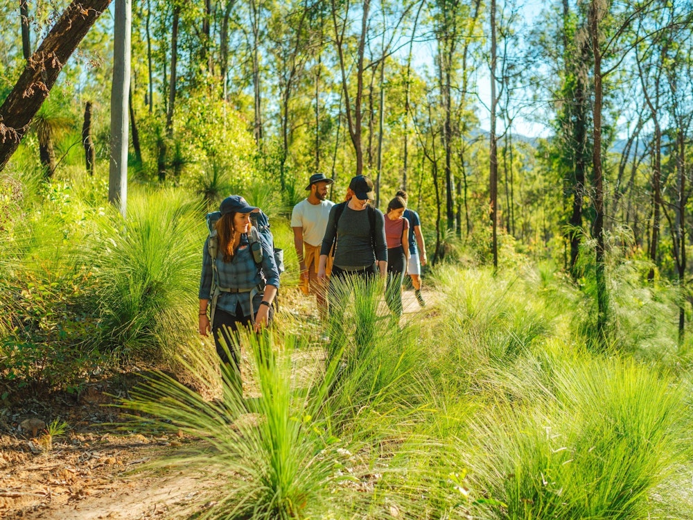 Aus queensland mount barney hike scenic rim credit Tourism and Events Queensland 1