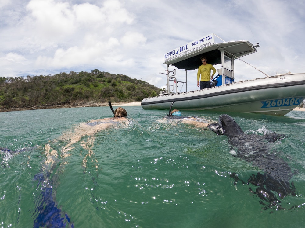 Aus queensland pumpkin island diving