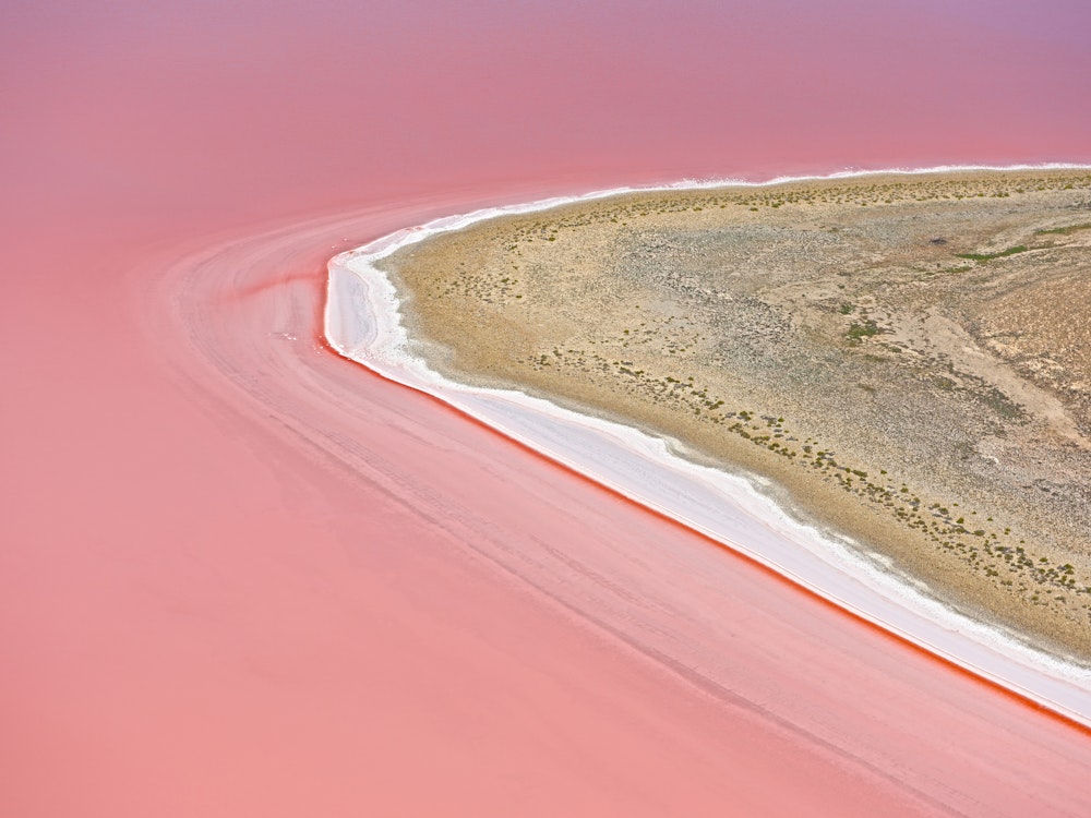 Vogelperspektive auf den rosa Lake Eyre in Südaustralien