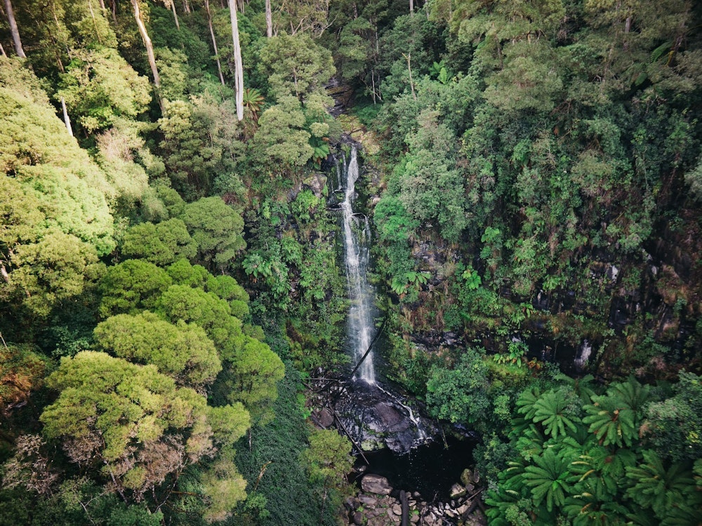 Erskine Falls in Victoria, omringd door groene bossen