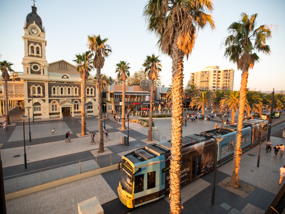 Stadtzentrum mit Palmen in Adelaide Australien