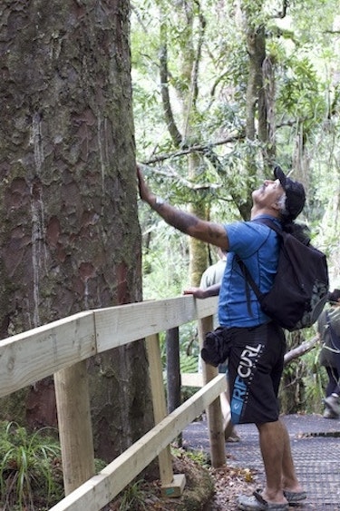 Man op reis nieuw zeeland travelessence whispering trails kauri boom geestboom joe