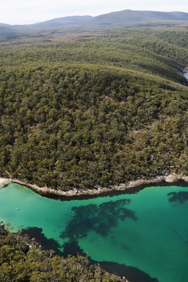 Australien Tasmanien tasman National park bucht meer strand wald