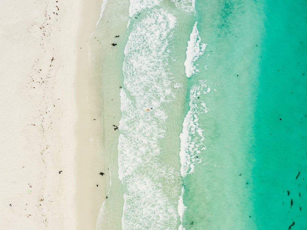 Het hagelwitte strand met helderblauwe water in Tasmanië