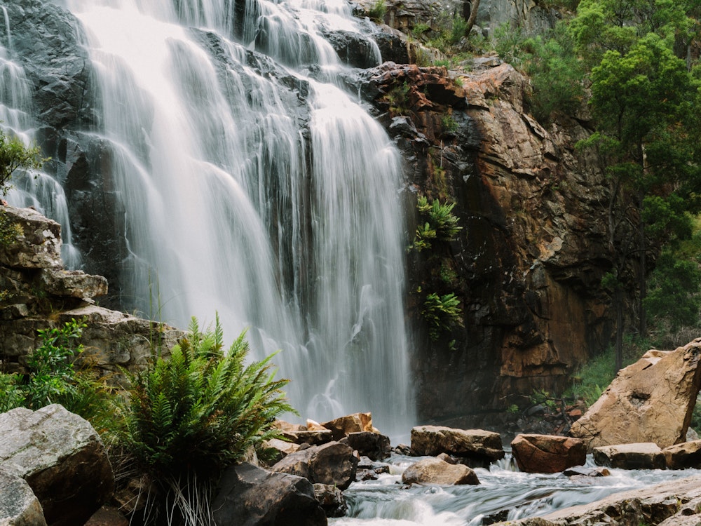 MacKenzie Wasserfall im Regenwald des Grampians Nationalpark