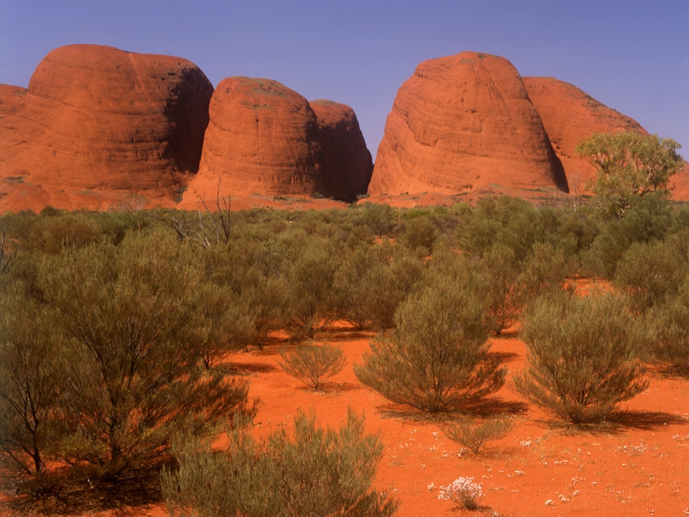 Stunning Red Center | Australia nature holiday