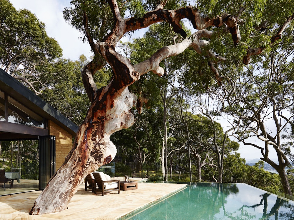 Gorgeous infinity pool | Australia holiday