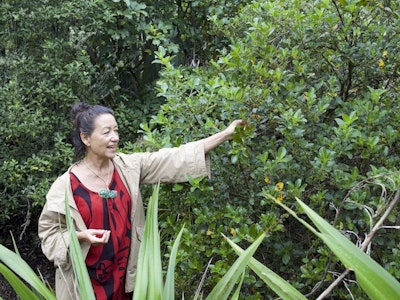 Wikitoria zeigt Maori Heilpflanzen in der Umgebung von Rotorua