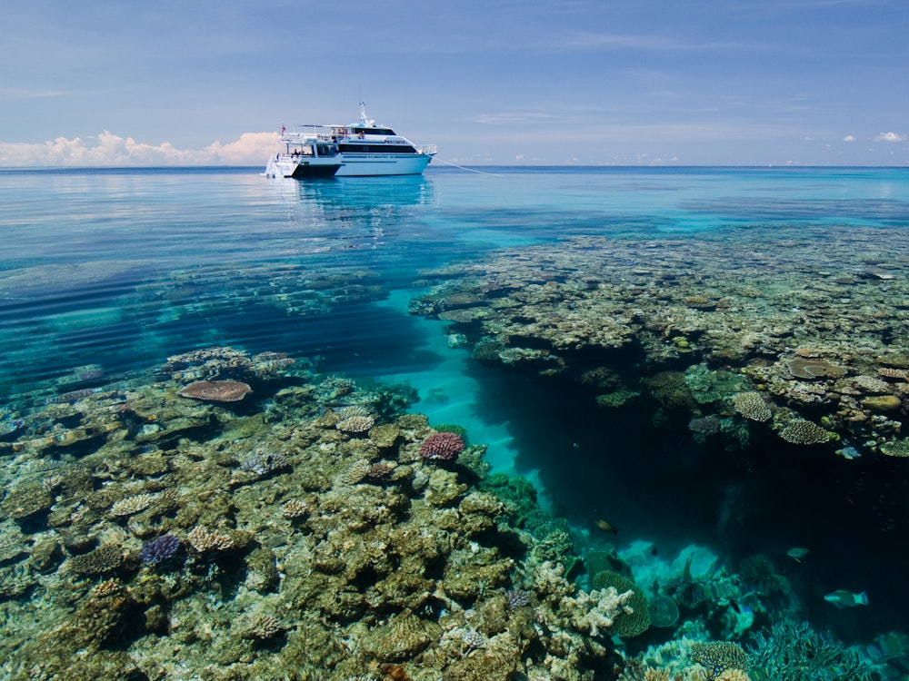 Great Barrier Reef aus der Vogelperspektive bei Cairns