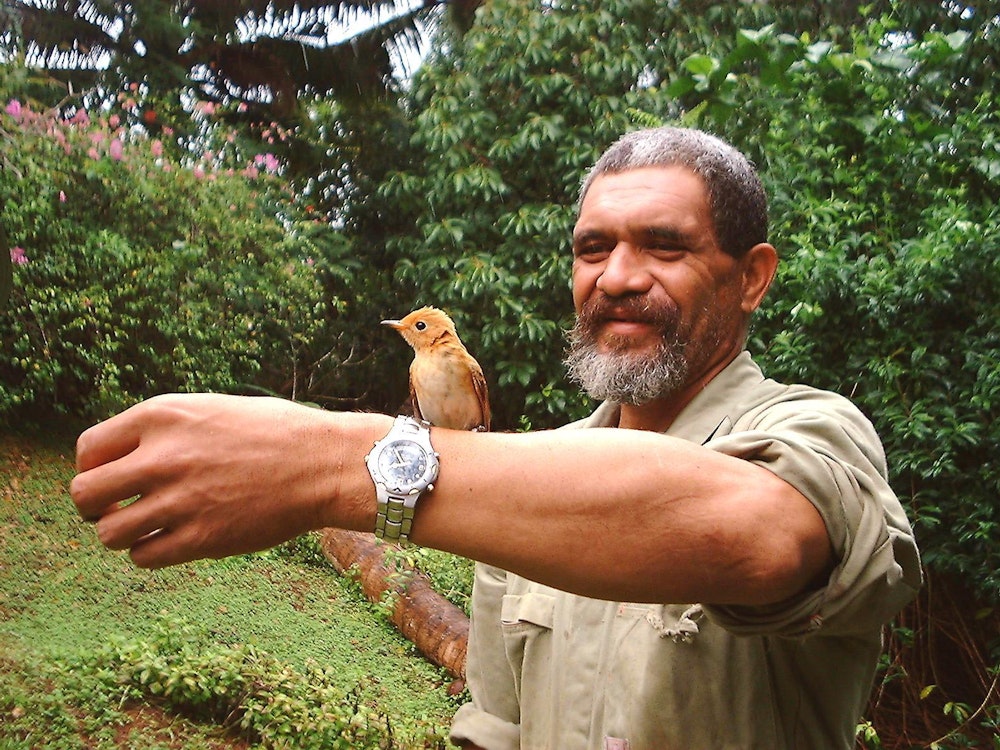 Einheimischer mit Vogel auf den Cook Islands