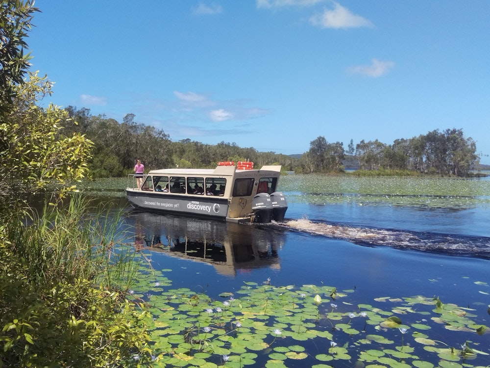 Boot fährt in den Everglades von Noosa