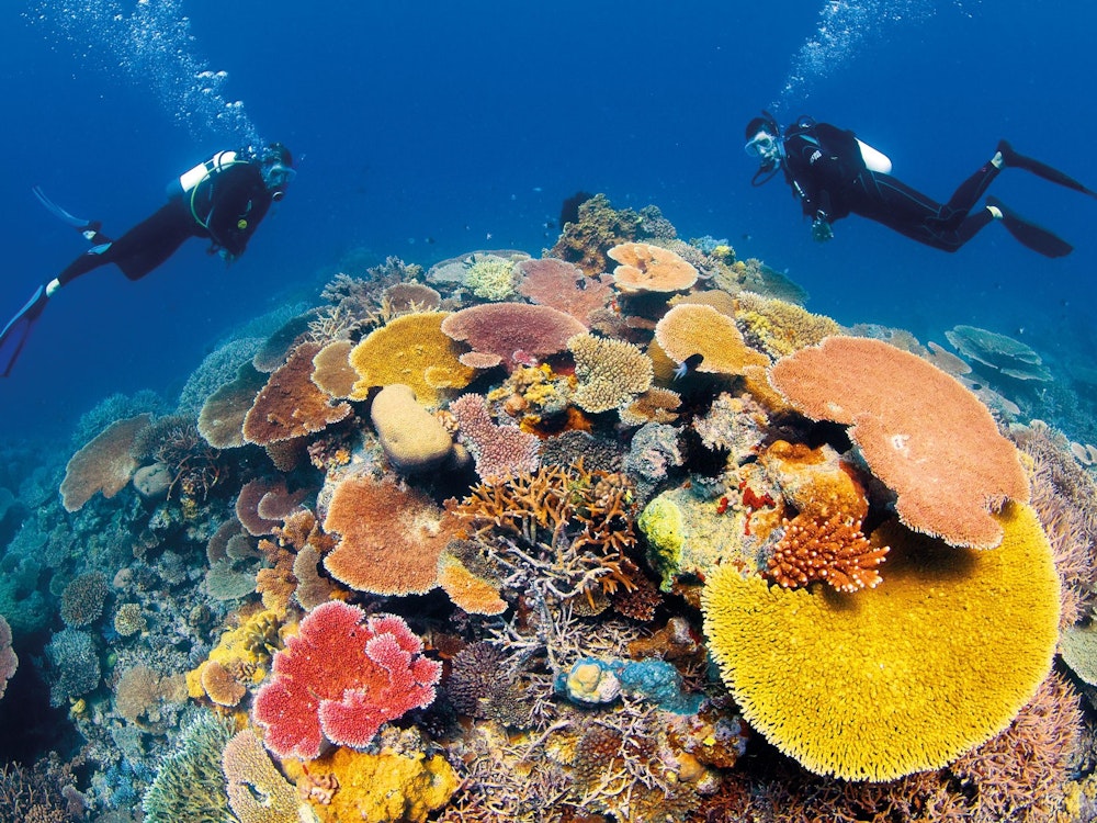 Twee duikers verkennen het onderwaterleven van het Great Barrier Reef