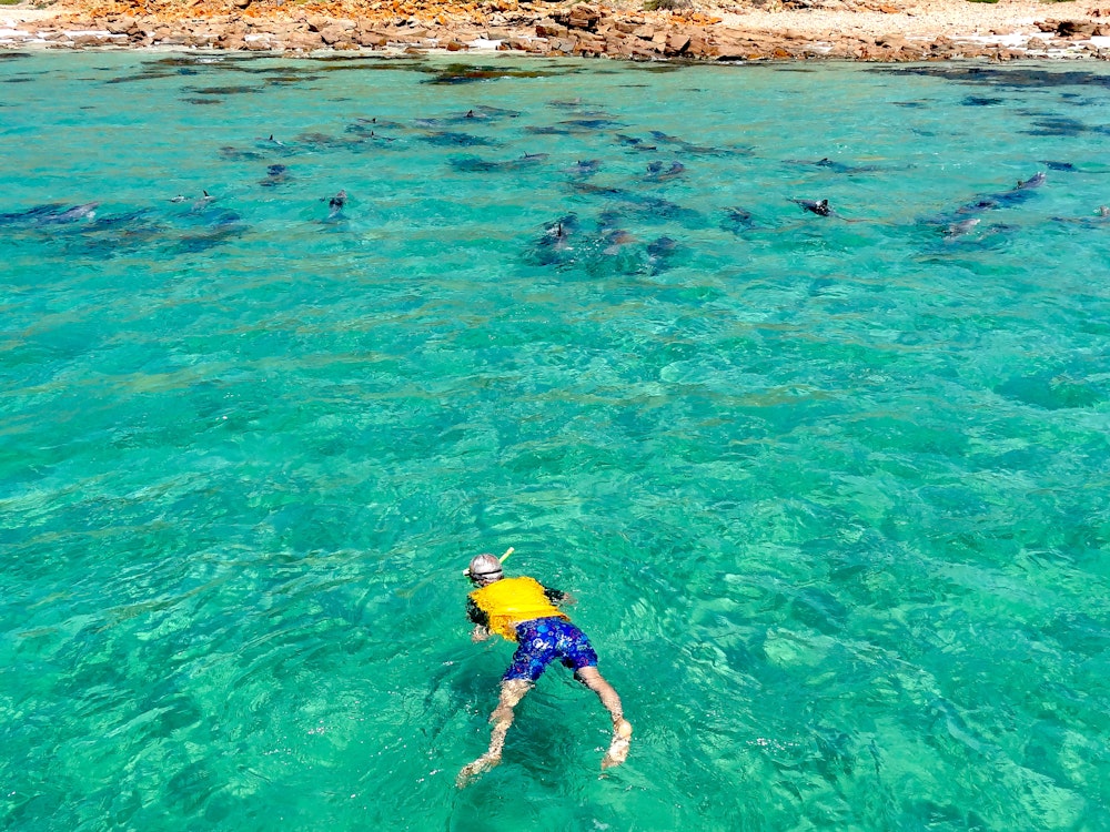 Snorkeling in South Australia | Australia holiday