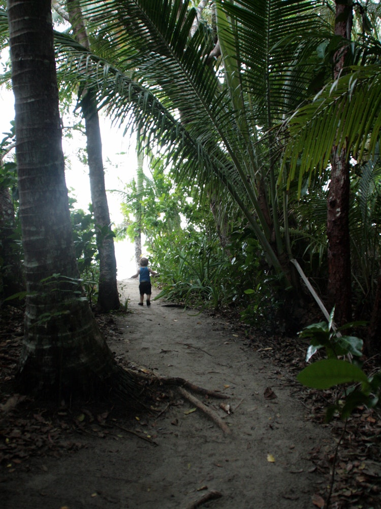 Kind loopt door tropisch regenwoud bij Cape Tribulation, Queensland Australië