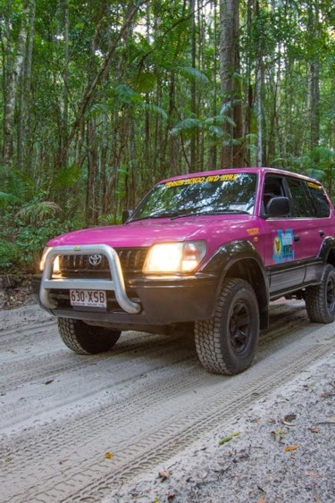 Aus fraser island 4wd nature family see and do active