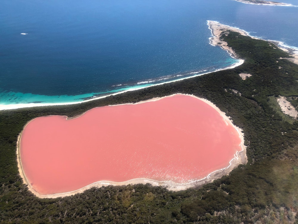 aus pink lake hillier