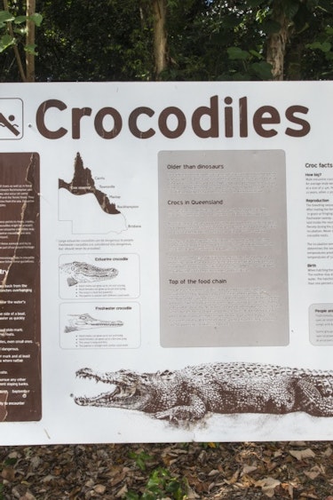 aus crocodile sign