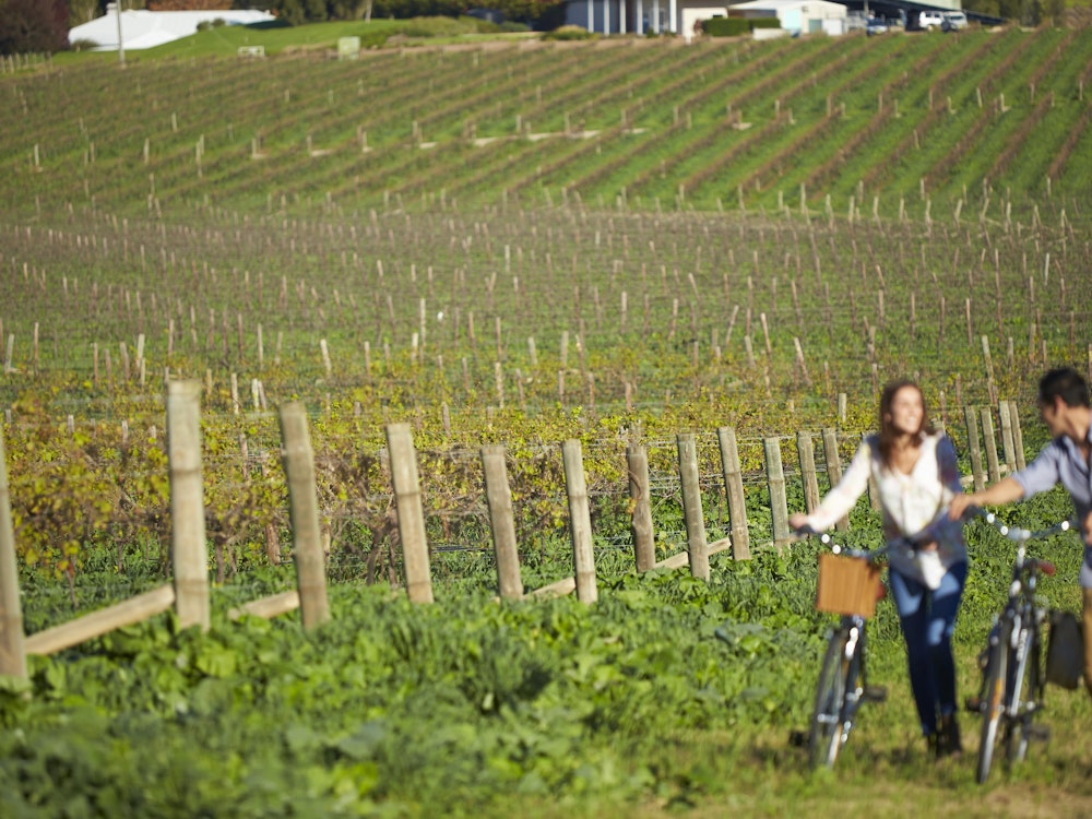 Een koppel loopt met de fiets aan de hand door de wijngaarden van Hunter Valley