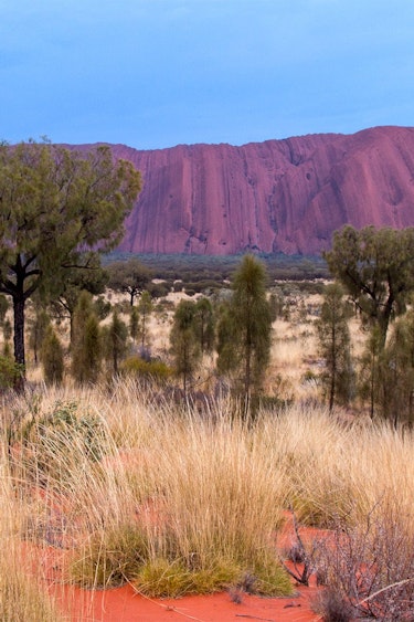 Australien Outback Safari Uluru