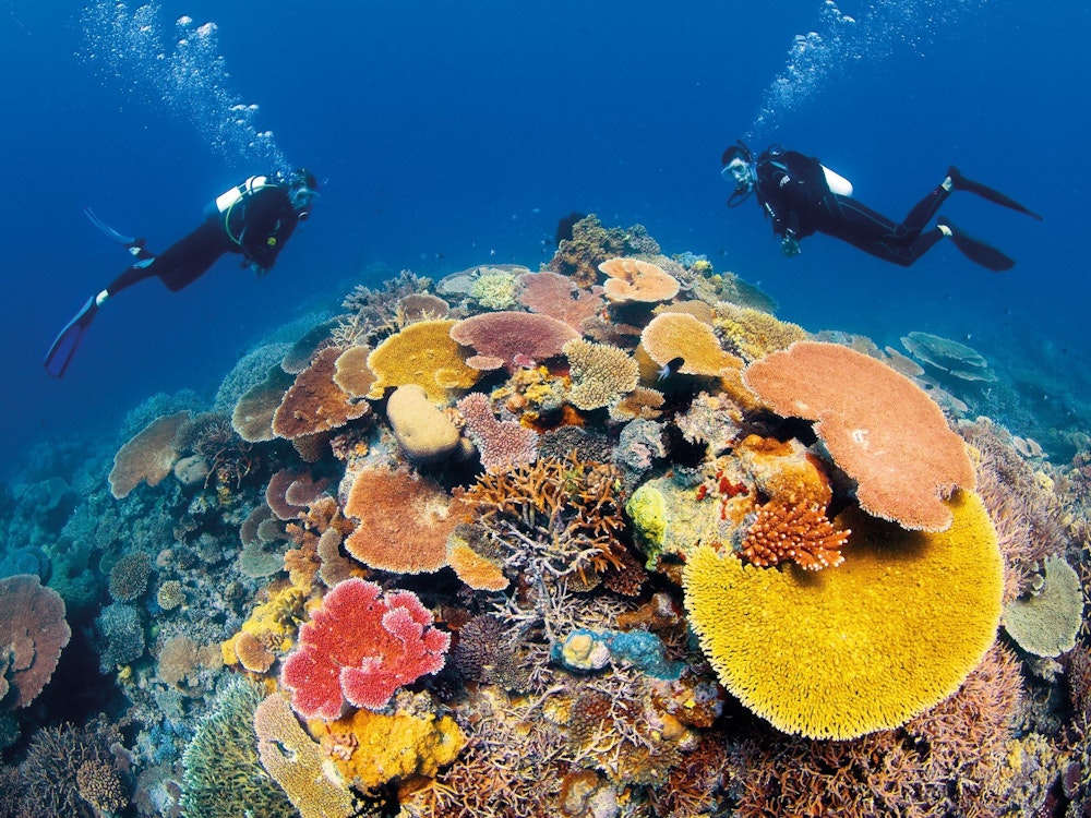Twee duikers verkennen de prachtige riffen in het Great Barrier Reef