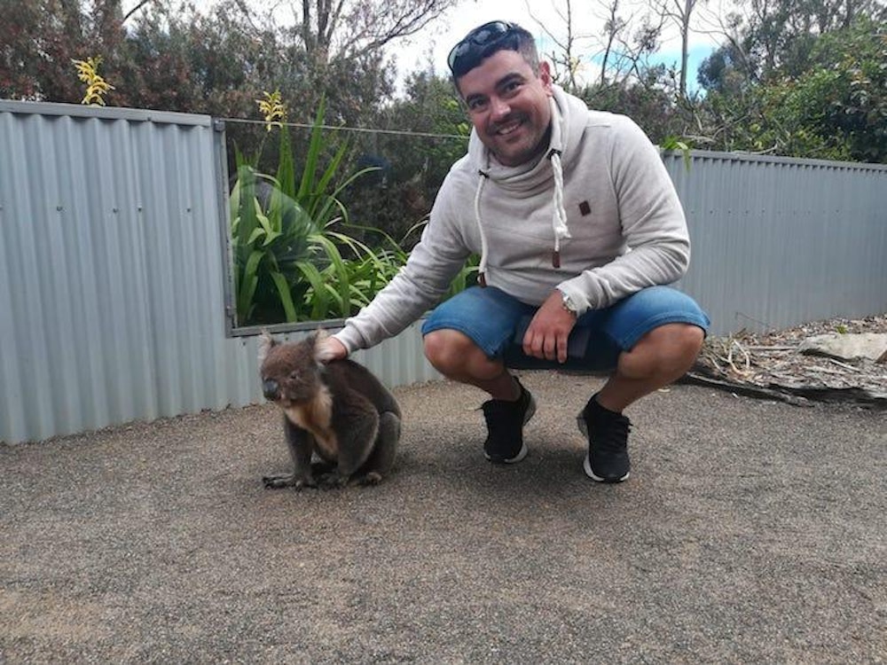 Australien kundenerfahrung christian merlinda koala streicheln