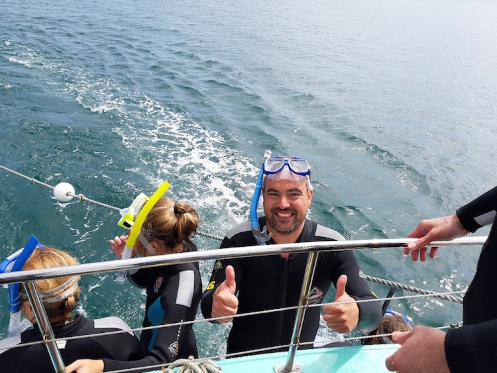Australien kundenerfahrung christian merlinda schwimmen mit delfinen