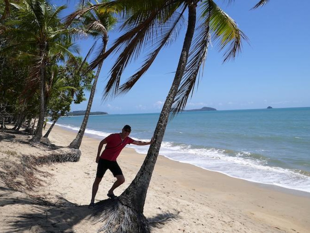 Australien kundenfeedback nowak strand palmen