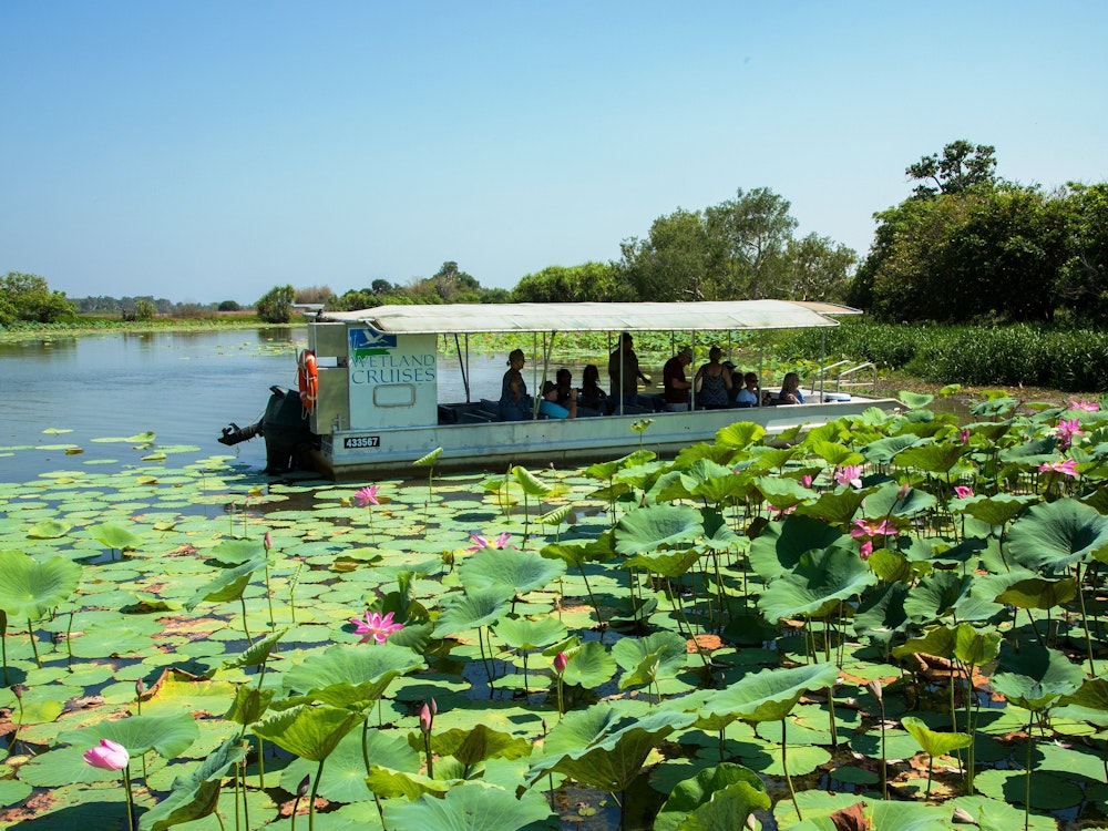 Auz corroboree billabong wetland cruises 3 partner easy going