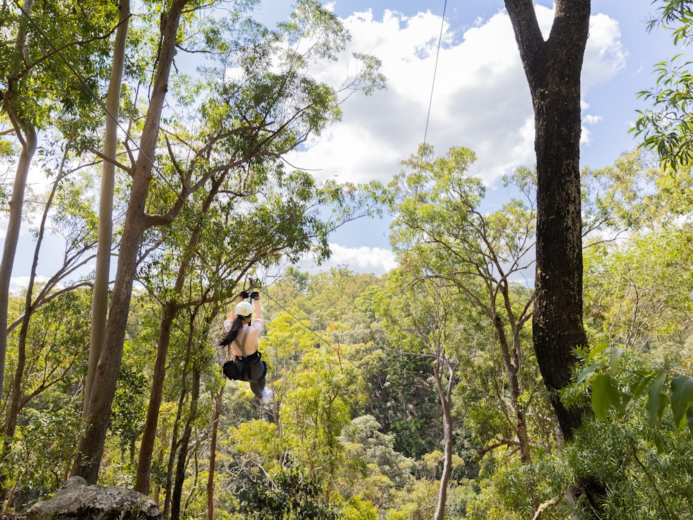 Een vrouw hangt aan een zipline en zweeft door de bossen van Rotorua