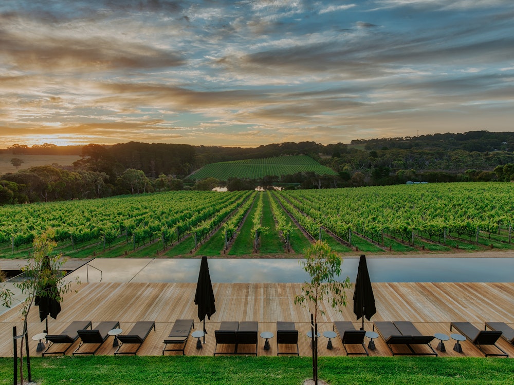 Uitzicht over de glooiende wijngaarden van de Mornington Peninsula