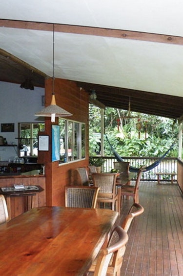 Au accommodation epiphyte bed breakfast cow bay 1
