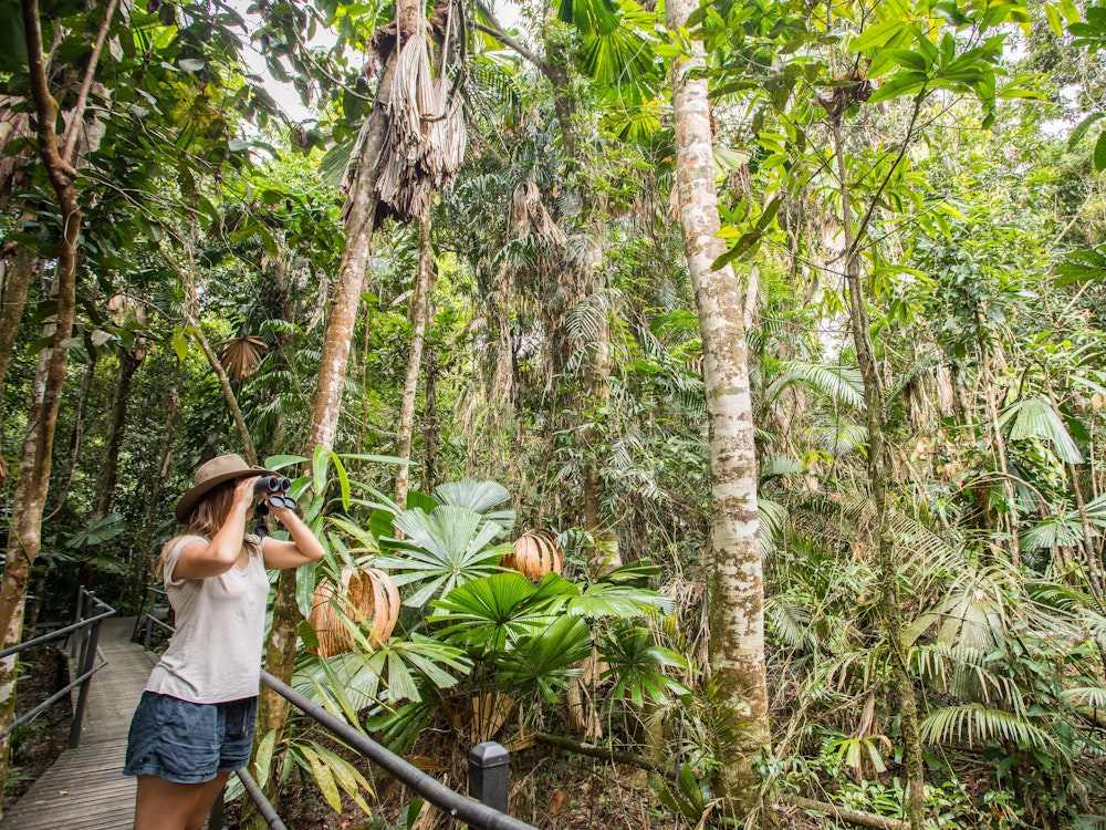 Eine Frau, die im Daintree Rainforest mit einem Fernglas die Tierwelt beobachtet