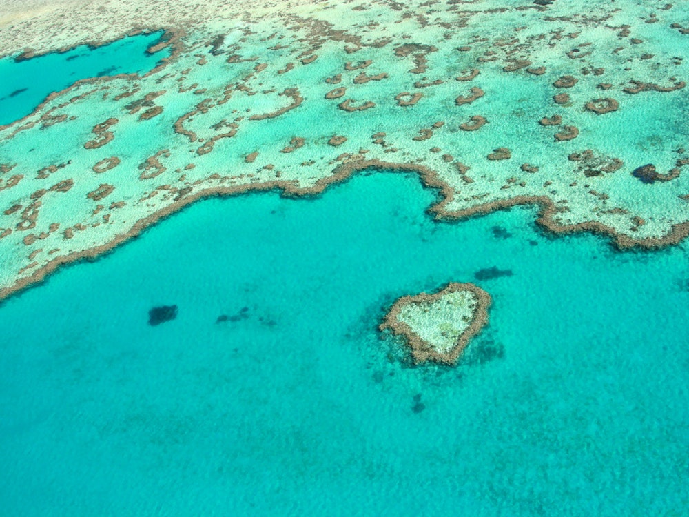 Hartvormig rif, omringd door turquoise water in het Great Barrier Reef