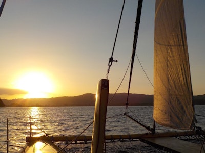 Nz coromandel sail sunset boom sailing