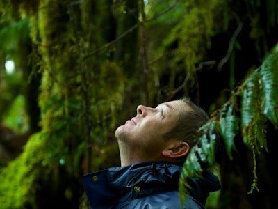 Andrew Morten | New Zealand holiday
