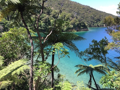 Gorgeous nature | New Zealand holiday