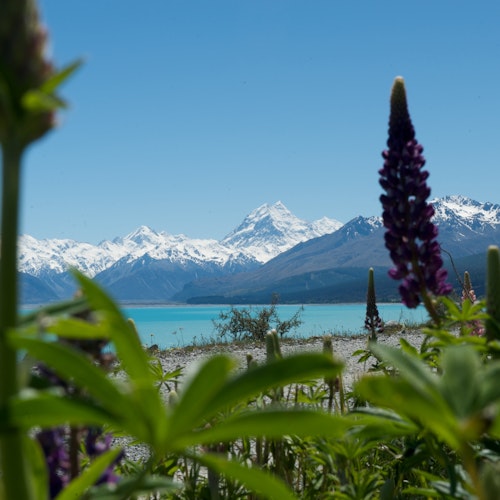 De besneeuwde bergen in Nieuw-Zeeland, met kristalhelder water