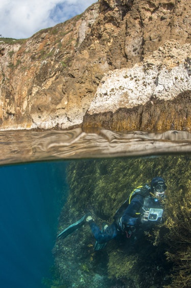 Neuseeland tutukaka Tauchen Schnorchen Unterwasser filmen