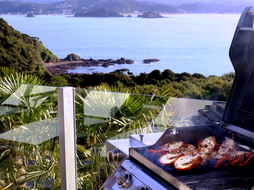 Barbecue dinner with local hosts | New Zealand holiday