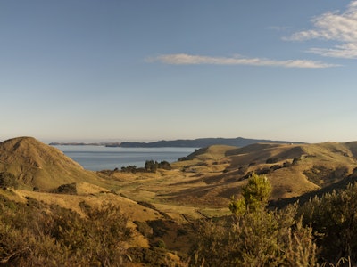 Panoramic Views | New Zealand nature