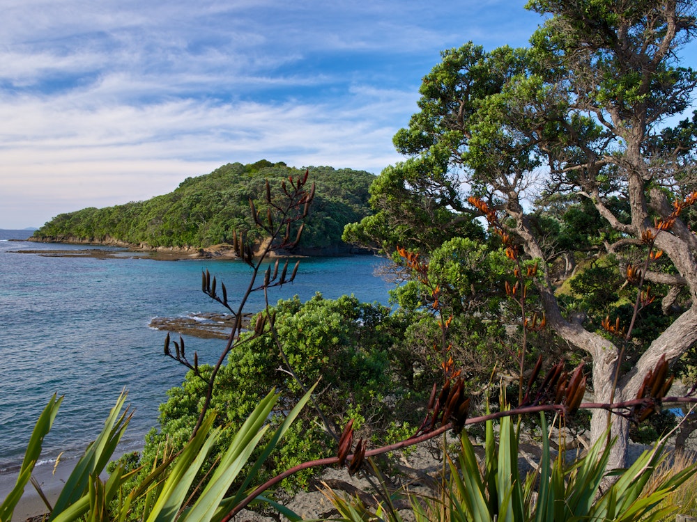 Walk the coastal trails of Mahurangi Regional Park | New Zealand active holiday