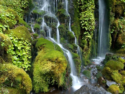 Te Urewera waterfall | New Zealand nature