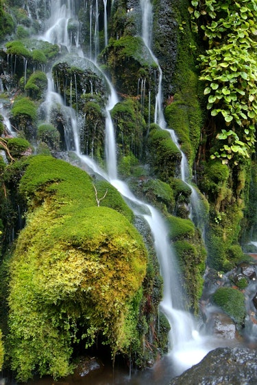 nz te urewera waterfall nature