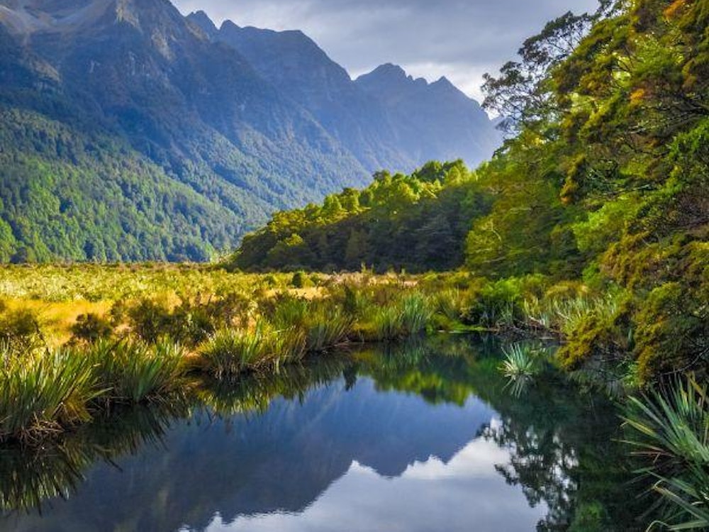 Clear water, dense green forest and mountains