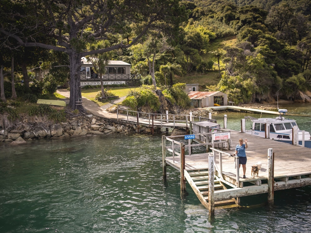 A girl and a dog waving on the deck of a boat docking port