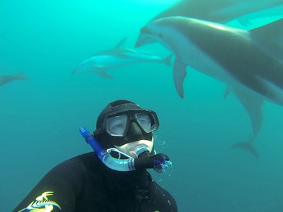 Een persoon zwemt onderwater met dolfijnen in Nieuw-Zeeland
