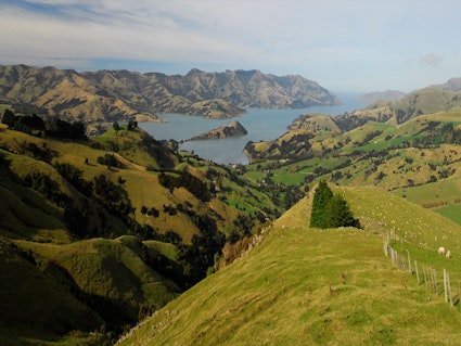 Stunning view in Marlborough region | New Zealand holiday
