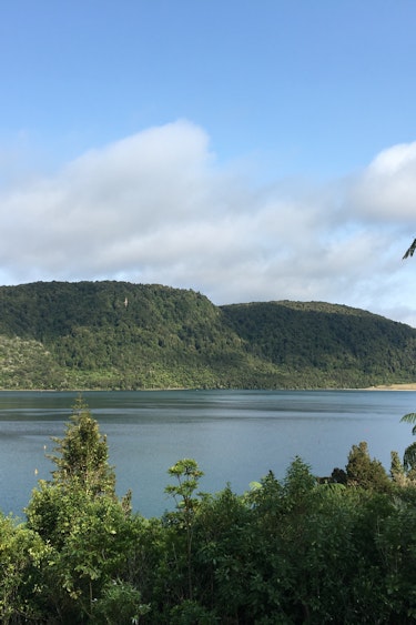 Neuseeland rotorua Lake Tikitapu see urwald