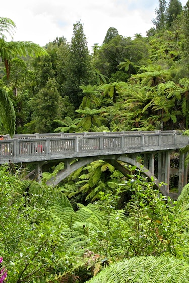 NZ - Whanganui River Valley
